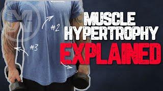 Muscle Hypertrophy Explained (How to get MASSIVE Gains)