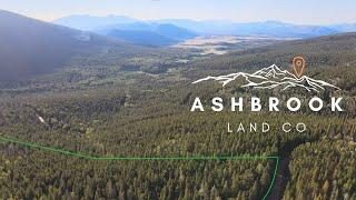 Colorado Mountain Land For Sale • 8 Acres of Forest • Ashbrook Land Co