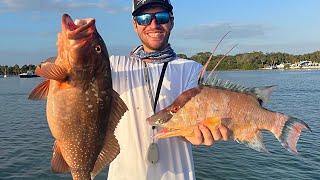 Insane Hogfish and Red Grouper Fishing Offshore Tampa Bay