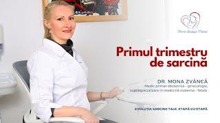 Primul trimestru de sarcină I Dr. Mona Zvâncă I Femmeboutiquemedical.com