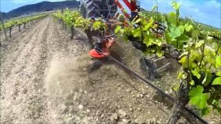 under vine weeder with Rotary hoe & blade for weed. Intercepas con rotor y cuchilla deshierba.