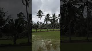 Palakkadangramam#youtube#shorts