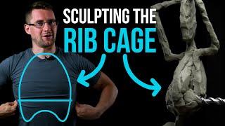 How to Sculpt the Rib Cage