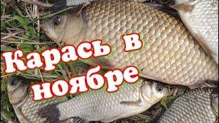 Карась в ноябре. Как поймать карася в ноябре по холодной воде.