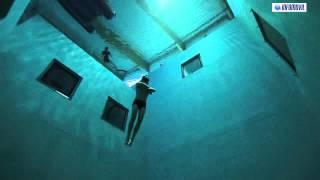 Nemo 33