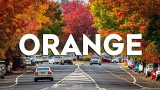 Top 10 Best Things to Do in Orange, France [Orange Travel Guide 2024]