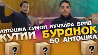 Антошка 1000с бурид- Дар барномаи Кутии бурднок