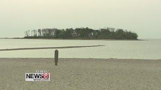 Silver Sands: a no-frills, wildlife dedicated beach in Milford