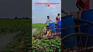 Raithubidda #farming #folks #farmingcareer #folklovers #trending #farminglife #farmer