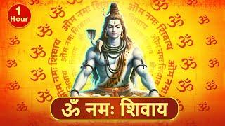 Om Namah Shivaya | Om Namah Shivaya For Meditation | Shiva Mantra|  #tubestory #Om