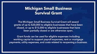 Michigan Small Business Survival Grant | Application Walkthrough