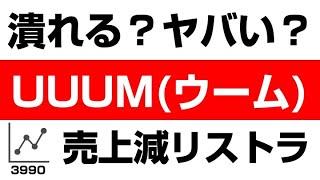 初心者でもわかる！UUUM（3990）の株式・企業分析