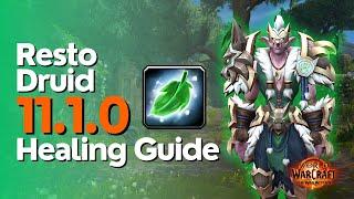 Restoration Druid TWW Season 2 Beginner Raid & M+ Guide