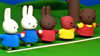 Boris’ Wettrennen | Miffy | Ganze Folge