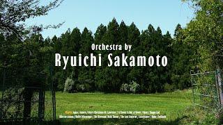  𝟰𝗸 𝐩𝐥𝐚𝐲𝐥𝐢𝐬𝐭ㅣ류이치 사카모토 오케스트라, 음악의 숲ㅣOrchestra by Ryuichi Sakamoto, Aqua, Rain, Opus