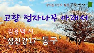 김용택 시  '섬진강17-동구'/ 고향 정자나무 아래서/ 언젠가 고향이 없어지면/ 시 낭송/ 좋은 시 감상/ 사는 이야기[힐링 문학 영상]