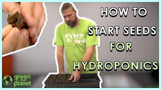 How to Start Your Seeds in a Hydroponics System