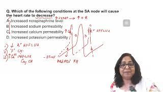 Daily Quiz Series targeting NEETPG 2025- CVS & Respiratory System