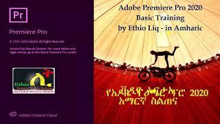 Premiere Pro In 19 Minutes Beginners Basic Tutorial in Amharic