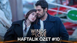 Winds of Love Weekly Summary #10 | Rüzgarlı Tepe Haftalık Kolaj #10