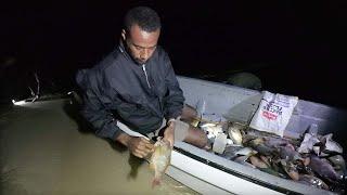 Camping & Fishing On Deserted Island Part 2 - Eat What You Catch For Dinner (Catch, Clean, Cook)