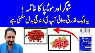 Berberine Benefits In Urdu Hindi - Berberine Kya Hota Hai - Dr Irfan Azeem