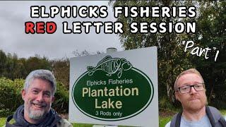 PART 1 - ELPHICKS PLANTATION LAKE - How many fish?! @sifishes