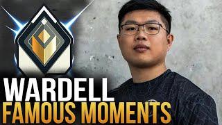 WARDELL'S MOST FAMOUS MOMENTS - Valorant Montage (2020-2024)