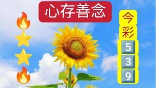 9月25日一支獨秀