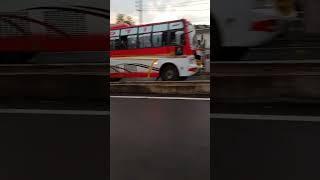Jyoti Bus Service Billawar To Jammu #shorts #bus #jammu #billawar #superfast
