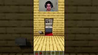 Minecraft Working invisible Door#shorts