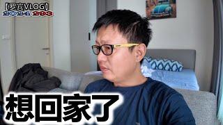 今天我活过来了，昨天还在看机票想回家了【罗宾VLOG】