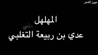 عدي بن ربيعة التغلبي   قربا مربط المشهر   بصوت فالح القضاع