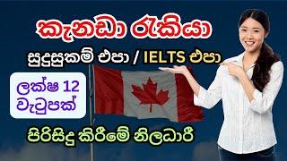 Cleaning jobs in Canada කැනඩාවේ රැකියා foreign job vacancies in Canada Sinhala sri lanka