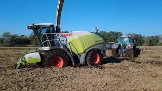 Gras Hächseln im Oktober in FH mit kleinen Problemen