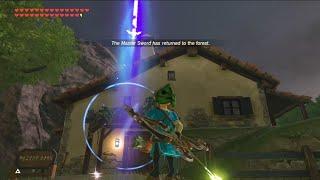 After 8 years of BOTW, did you know that the Master Sword CAN DO this?