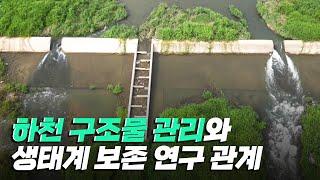 [핫클립] 하천 구조물 실측을 통한 관리·보존 연구 / YTN 사이언스