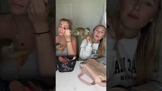️ #madlovesripley #monkey #grwm #beauty #fashion #makeup  #squirrelmonkey #animals #viral #cute