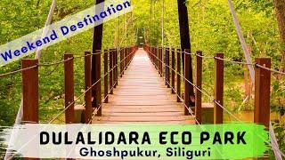 DULALI DARA ECO PARK | New Offbeat Location Near Siliguri | Tourist destination #Discoversiliguri