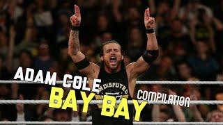 Adam Cole BAY BAY Compilation [2017-2018]