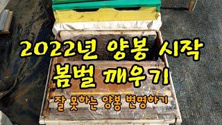 2022년 2월 8일 2022년 양봉 시작 봄벌 깨우기