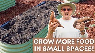 How to Grow a Ton of Food with Just 12 Square Feet!