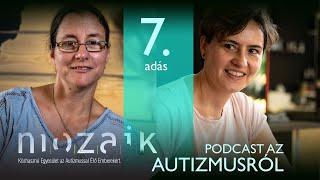 Óvoda, iskola keresés｜MOZAIK PODCAST AZ AUTIZMUSRÓL｜7. adás