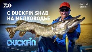 С DUCKFIN SHAD НА МЕЛКОВОДЬЕ x АЛЕКСЕЙ ШАНИН