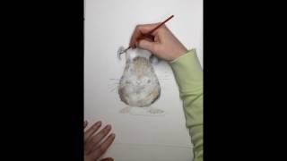 Making of "The Tiny Field Mouse" by Brett Blumenthal