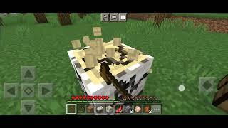 playing Minecraft/in the brand new world/found diomond