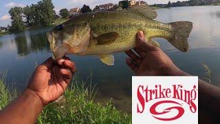 Big Bass Pond| Are KVD Strike King Ocho Senko Baits Good?