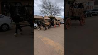Amazing Covered Wagon Ride | Tombstone Arizona | Family Friendly Tour