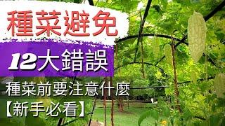 9 Beginner Gardening Mistakes to Avoid 新手種菜常犯的錯誤！種菜前要注意什麼？