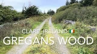 Walking in Co.Clare - Gregans Wood (4K)